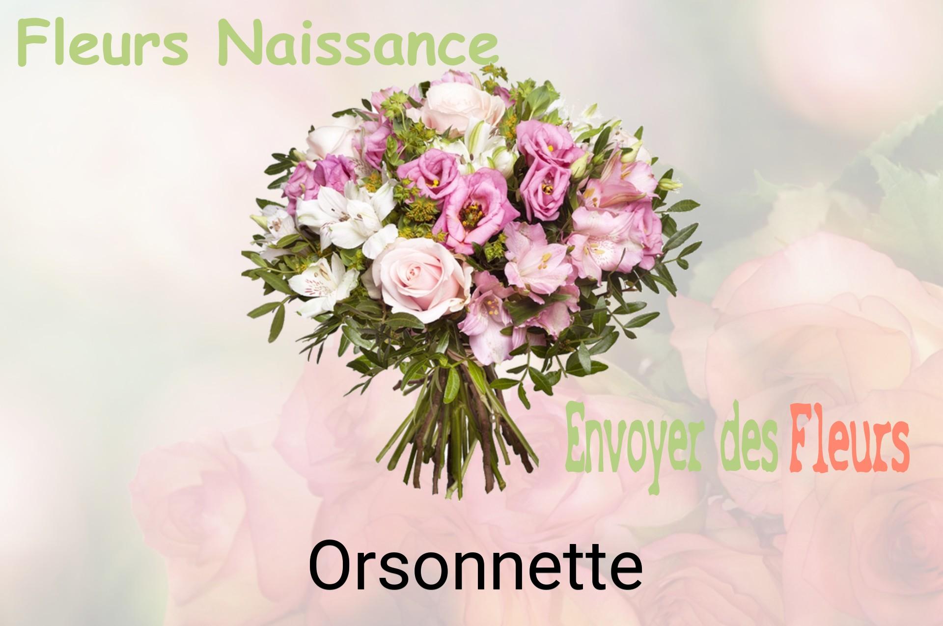 Bouquet de fleurs de naissance livré à Orsonnette